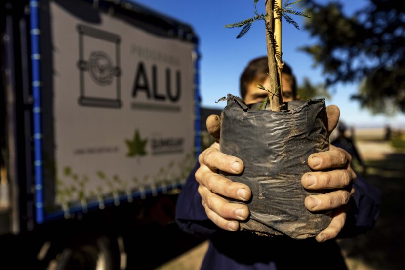 Con la entrega en Mi Granja, Grupo Quimiguay cerró la campaña de distribución de plantines de ALU en Córdoba